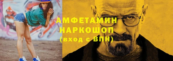 шишки Аркадак