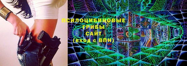 прущий лед Армянск
