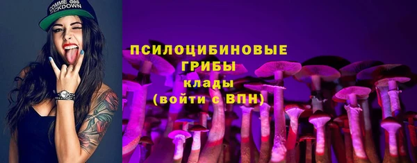 шишки Аркадак