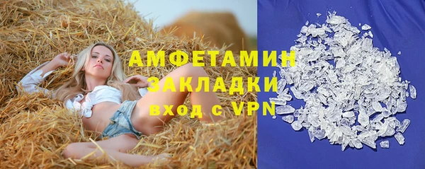 шишки Аркадак