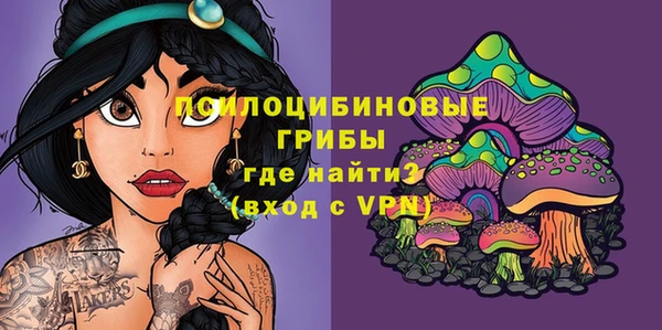 шишки Аркадак