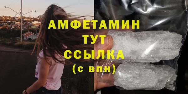 шишки Аркадак