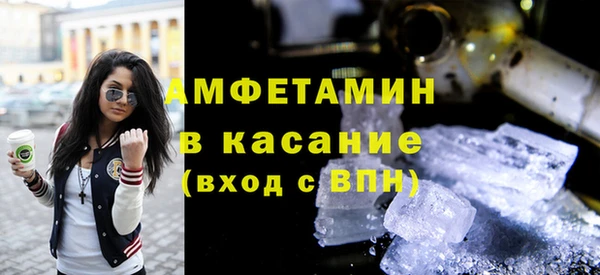 шишки Аркадак